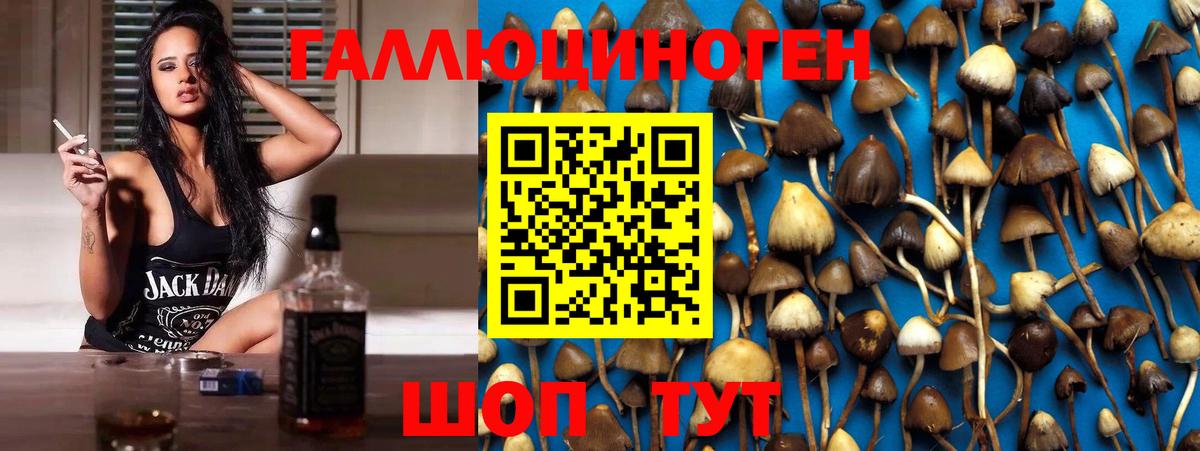 Псилоцибиновые грибы мухоморы  где можно купить   Ростов Великий  Вход с VPN 
